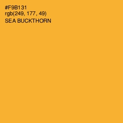 #F9B131 - Sea Buckthorn Color Image